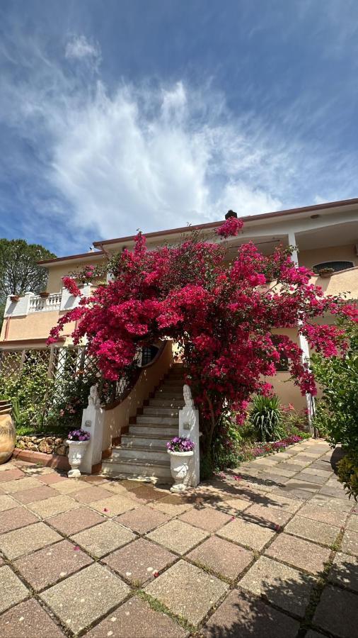 Casa Vacanze La Brii Iglesias Exterior foto